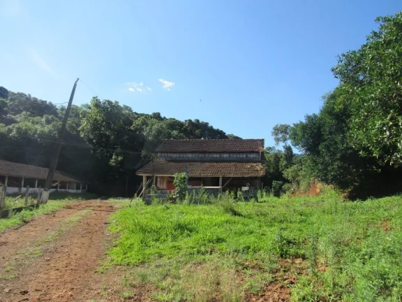 Imagem Área Agrícola para Venda em Lindóia do Sul, Rural