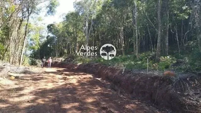 Imagem VENDE-SE TERRENO DE 2,22 HECTARES NA CIDADE DE GRAMADO, A 7 KM DA RUA COBERTA.