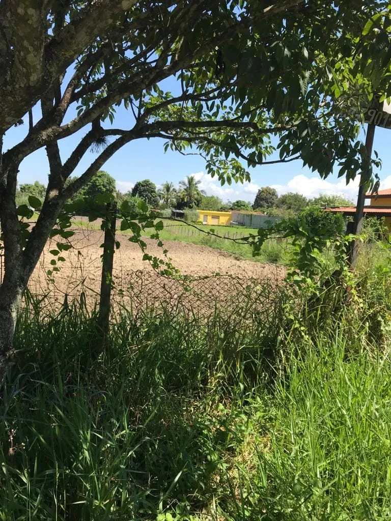 Imagem Terreno à venda 2000M², Pedro Leme, Roseira - SP