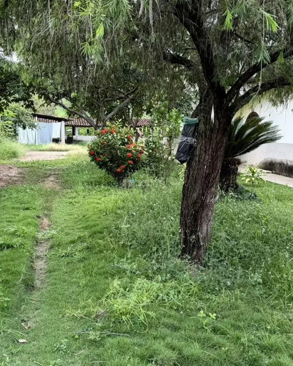 Imagem Imóvel
