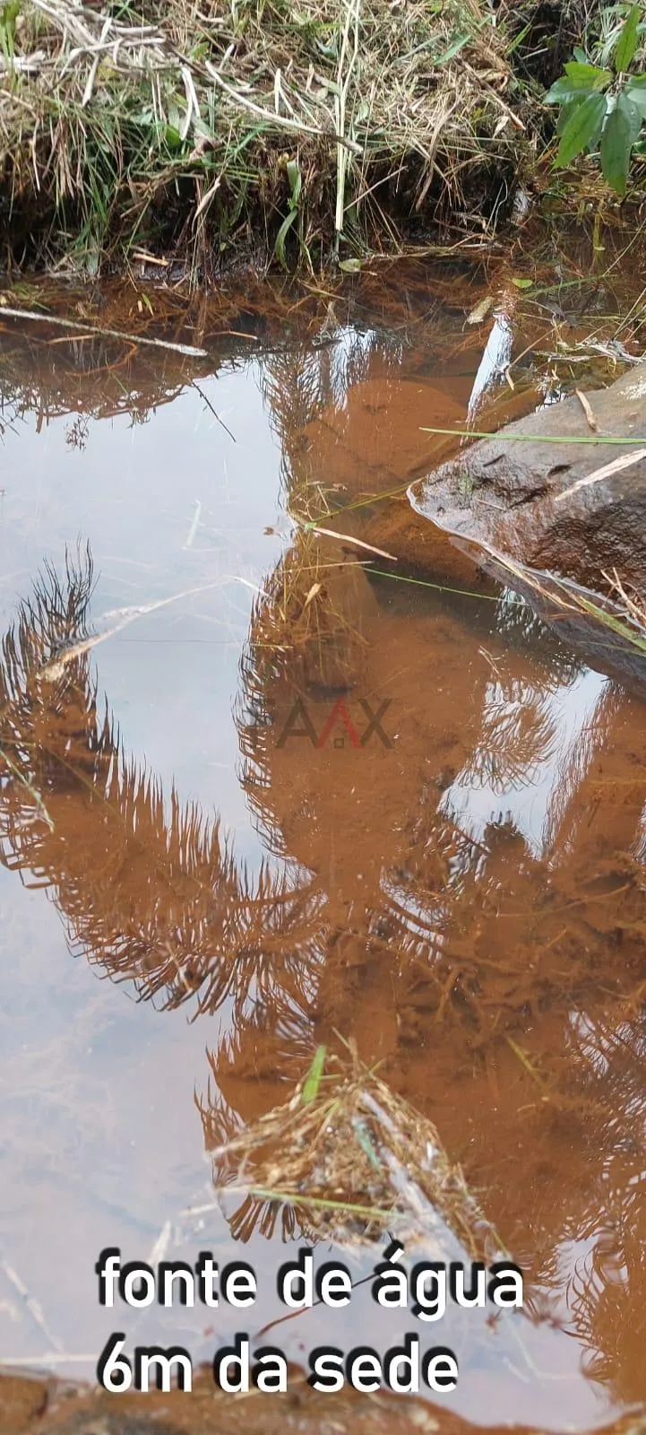 Imagem Chácara com 2 dormitórios à venda,60500.00 m , Guabiroba, GUARAPUAVA - PR