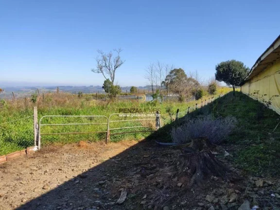 Imagem Granja para Venda em Ipumirim, Interior