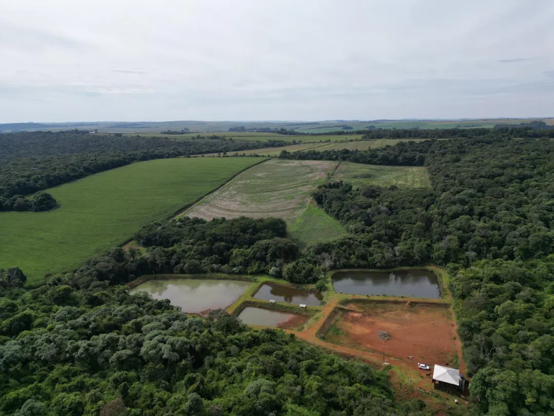 Imagem Chácara à venda em Cascavel, Centro - Casa de caseiro, Rio e Lago para pesca
