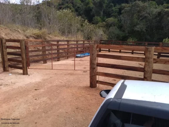 Imagem SITIO RURAL em BANDEIRA DO SUL - MG, Sitio Capituvas