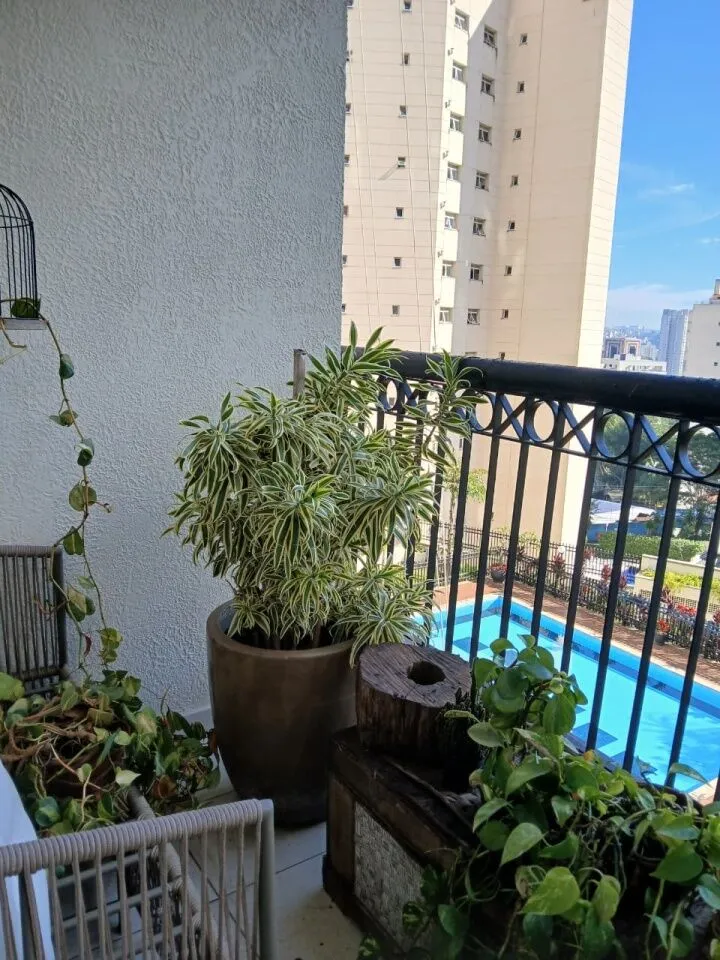 Imagem Apartamento para venda com 2 suítes de 112m² - Portal do Morumbi - São Paulo/SP