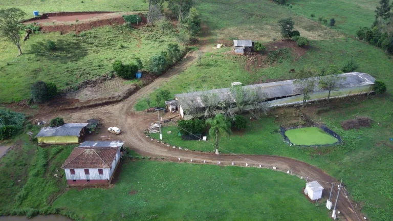 Imagem Área Agrícola para Venda em Jaborá, Rural