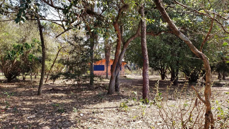 Imagem Terreno Padrão