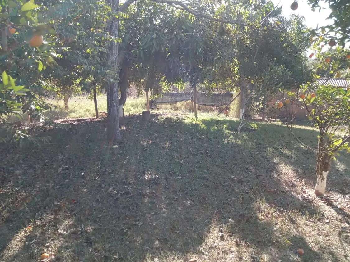 Imagem Vendo um excelente sítio na cidade de Piracema/Mg com 5 hectares de terra