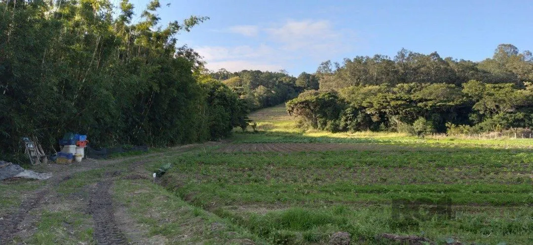 Imagem Terreno em Lageado