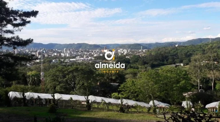 Imagem CHACARA DENTRO DA CIDADE