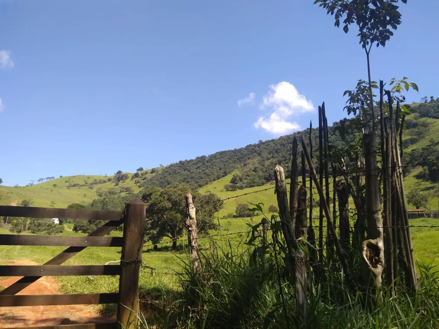 Imagem Chácara à venda 2 Quartos, 768000M², Zona Rural, Cunha - SP