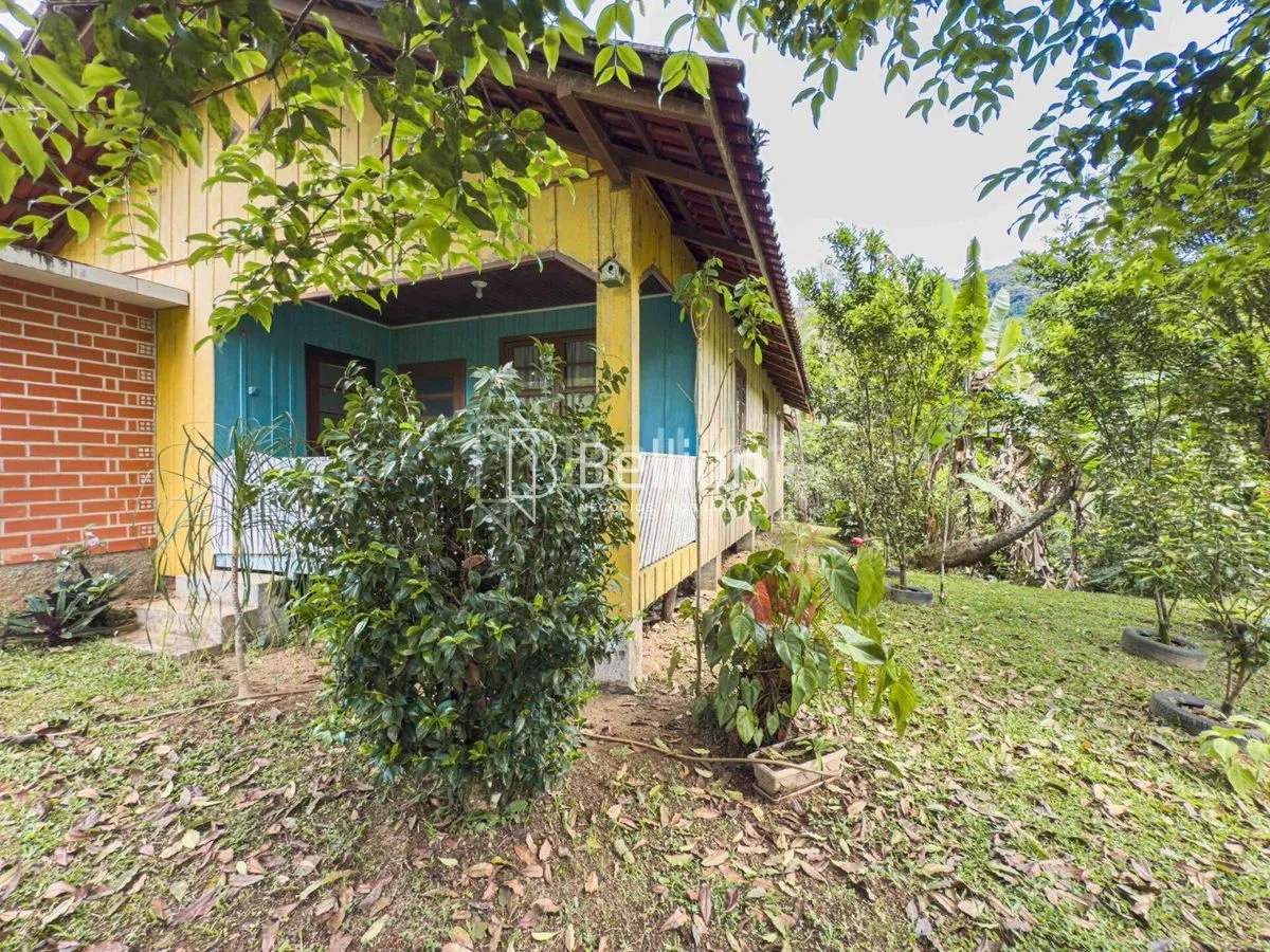 Imagem Sítio com casa em madeira de lei e riqueza em água em Rio dos Cedros