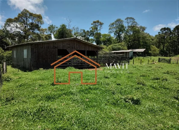 Imagem SITIO RURAL em CAMPO ALEGRE - SC, Estrada Laranjeiras