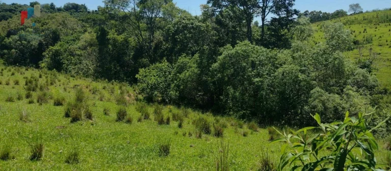 Imagem Sítio à venda no bairro Centro - Guareí/SP