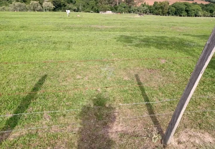 Imagem Paraíso Rural na RMC: Descubra as Maravilhas Deste Imóvel Rural de 5 Alqueires em Cosmópolis!