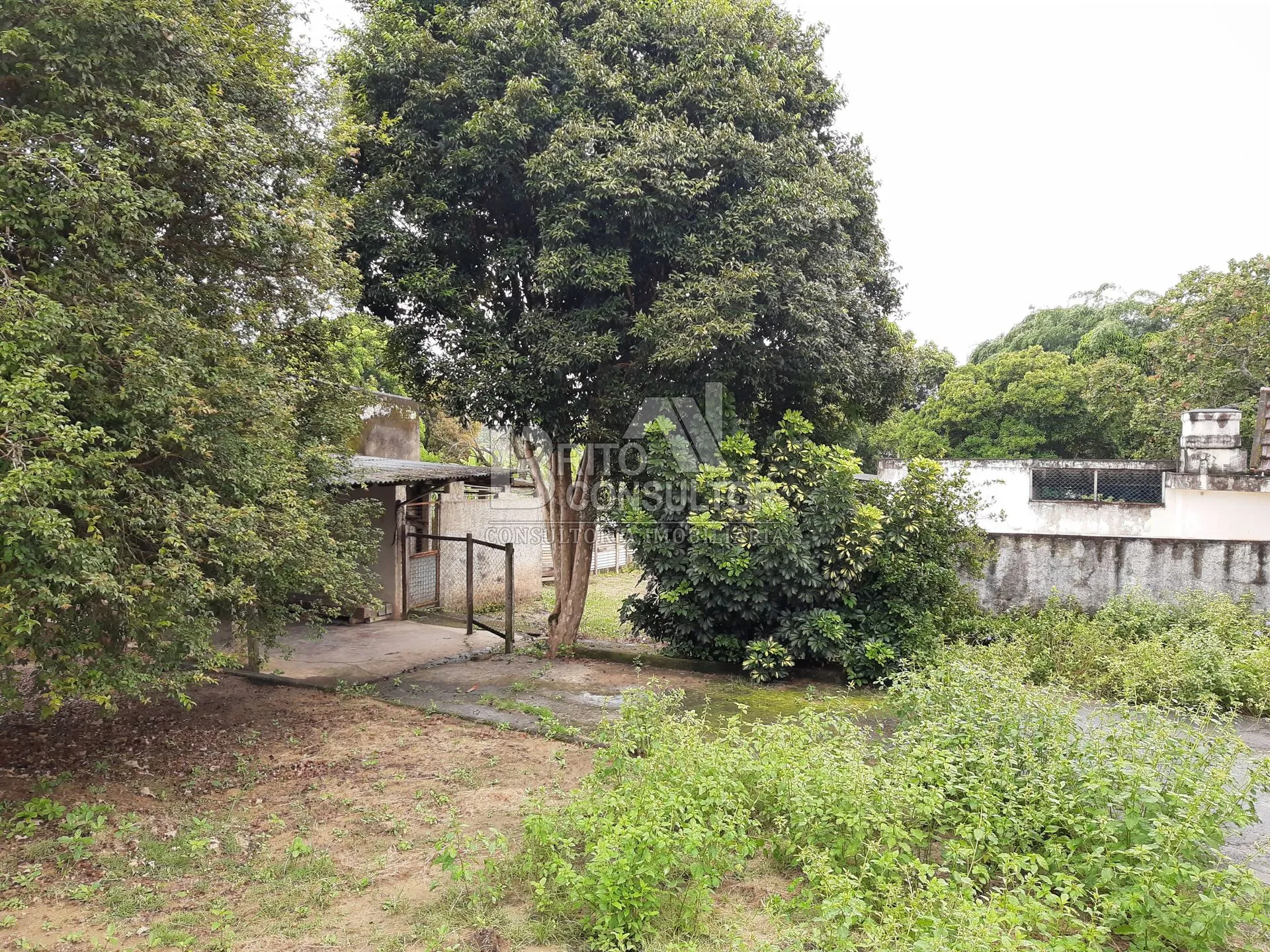 Imagem Vendo Sitio em Vista Alegre com 2790 M² - Vista Alegre - São Gonçalo/RJ