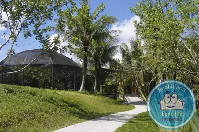Imagem VENDO LINDA FAZENDINHA COM 21 HECTARES – PORTO SEGURO, BA