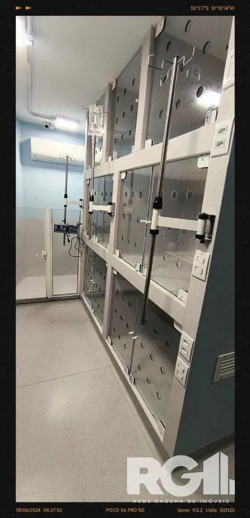 Imagem Clínica veterinária pronta na Cristiano Fischer
