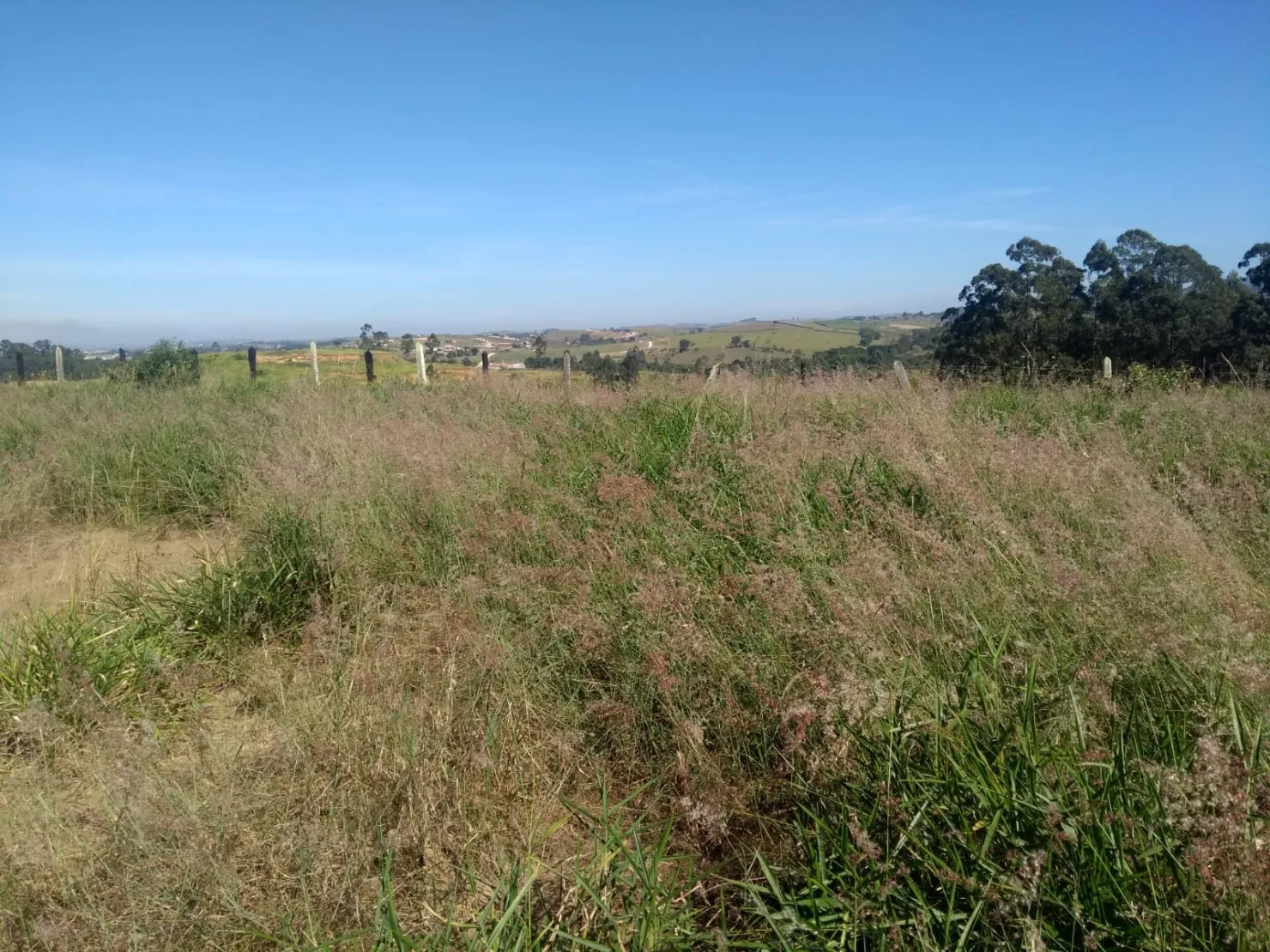 Imagem Chácara à venda 1500M², Residencial Pinheiros, Taubaté - SP