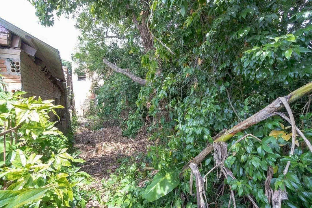 Imagem terreno com 605m², 11m de frente e 55m de frente a fundos.