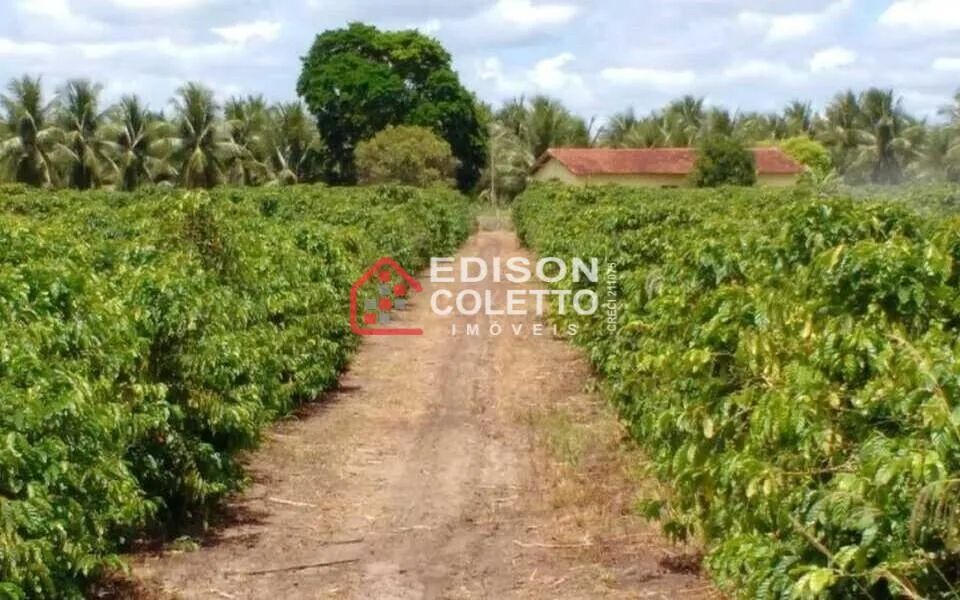 Imagem Fazenda/Sitio, Residencial/Comercial para Venda, Centro, Caraiva