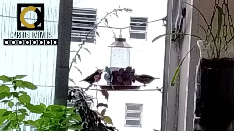 Imagem Apartamento de 1 quarto, a venda no José Menino - Santos