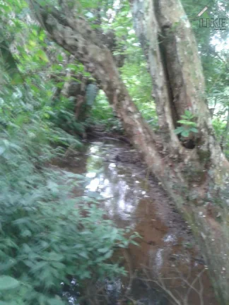 Imagem [Vendo Sítio em Brazópolis] [7 hectares com córrego d'água]