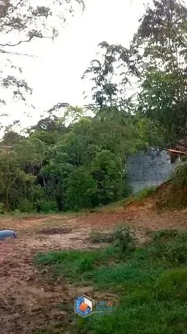 Imagem CHÁCARA À VENDA, COM 2.438 METROS COM POMAR EM PRODUÇÃO, COM RUA ASFALTADA E ILUMINAÇÃO E FARTO TRANSPORTE - MANTIQUEIRA, MAIRIPORÃ