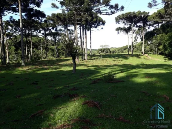 Imagem Chácara a venda, 142.134 M², Bugre, Balsa Nova PR