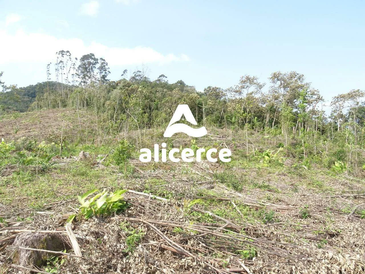 Imagem Área à venda com , 188.382m² em Área Rural de Biguaçu Biguaçu