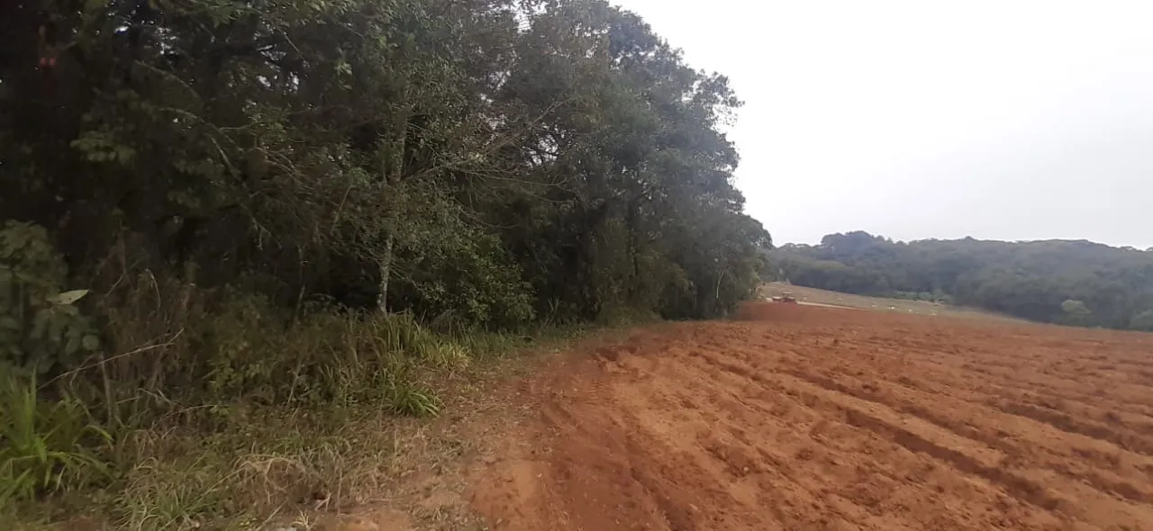 Imagem Projeto pioneiro de compensação ambiental em Piedade, SP!