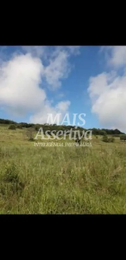 Imagem Sítio para Venda em Rolante / RS no bairro Morro Da Figueira