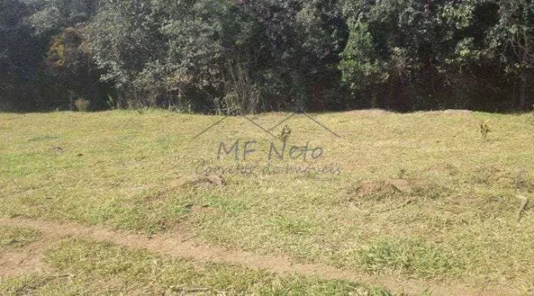 Imagem Terreno Padrão