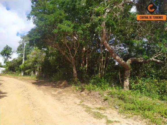 Imagem TERRENO EM IMBASSAÍ