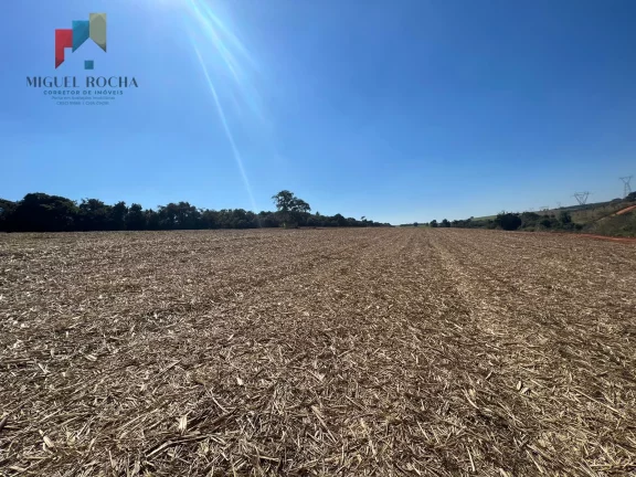 Imagem Fazenda região de Avaré SP