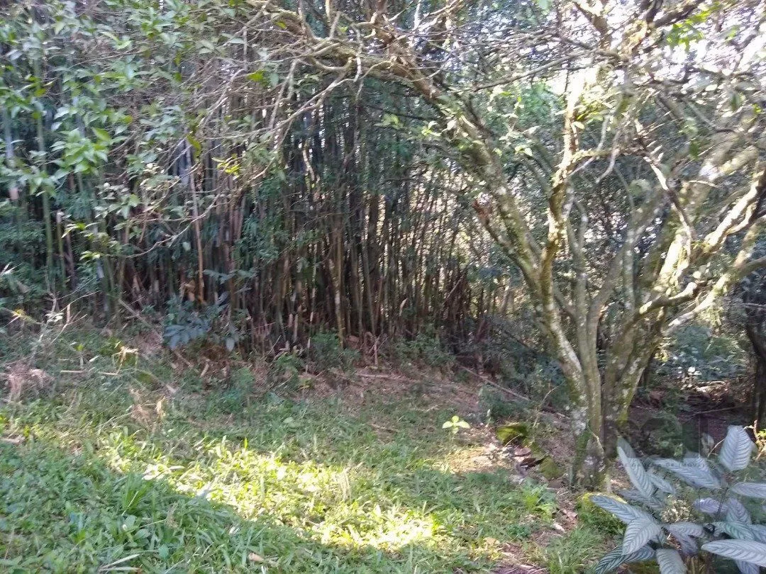 Imagem Terreno em Cascata