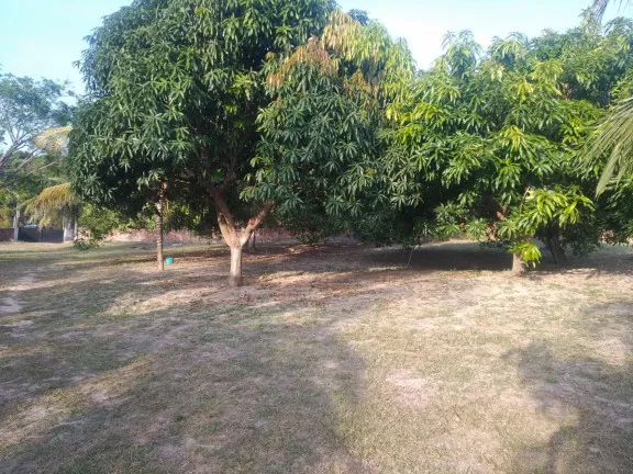 Imagem Terreno à Venda, 5.332 m² em Panaquatira - São José de Ribamar