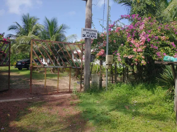 Imagem Chácara à Venda, 1 m² em Centro - Santa Isabel do Pará