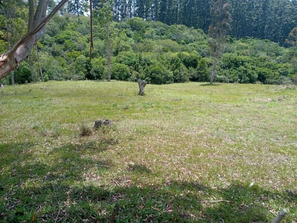 Imagem Sítio em Florida