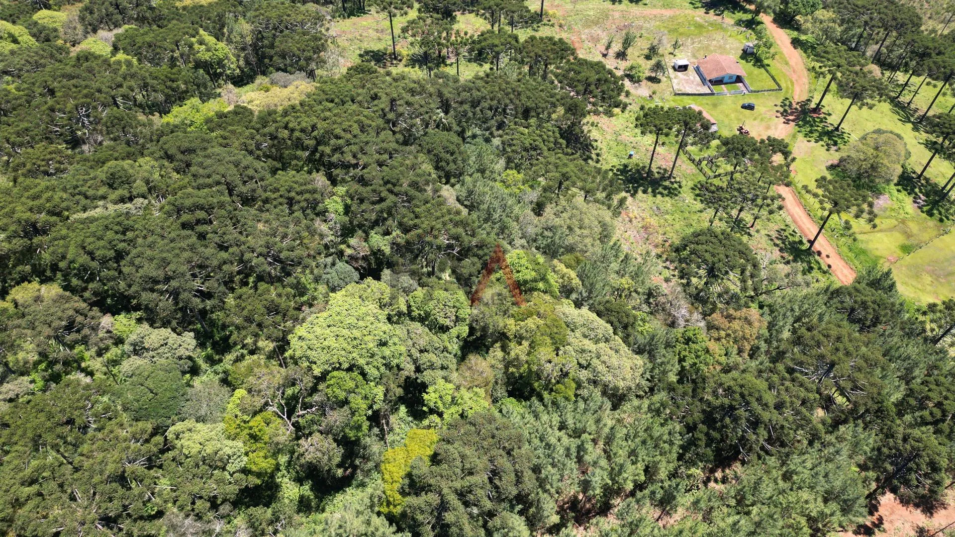 Imagem CHACARA A VENDA NO DISTRITO DO GUAIRACA, GUARAPUAVA - PR