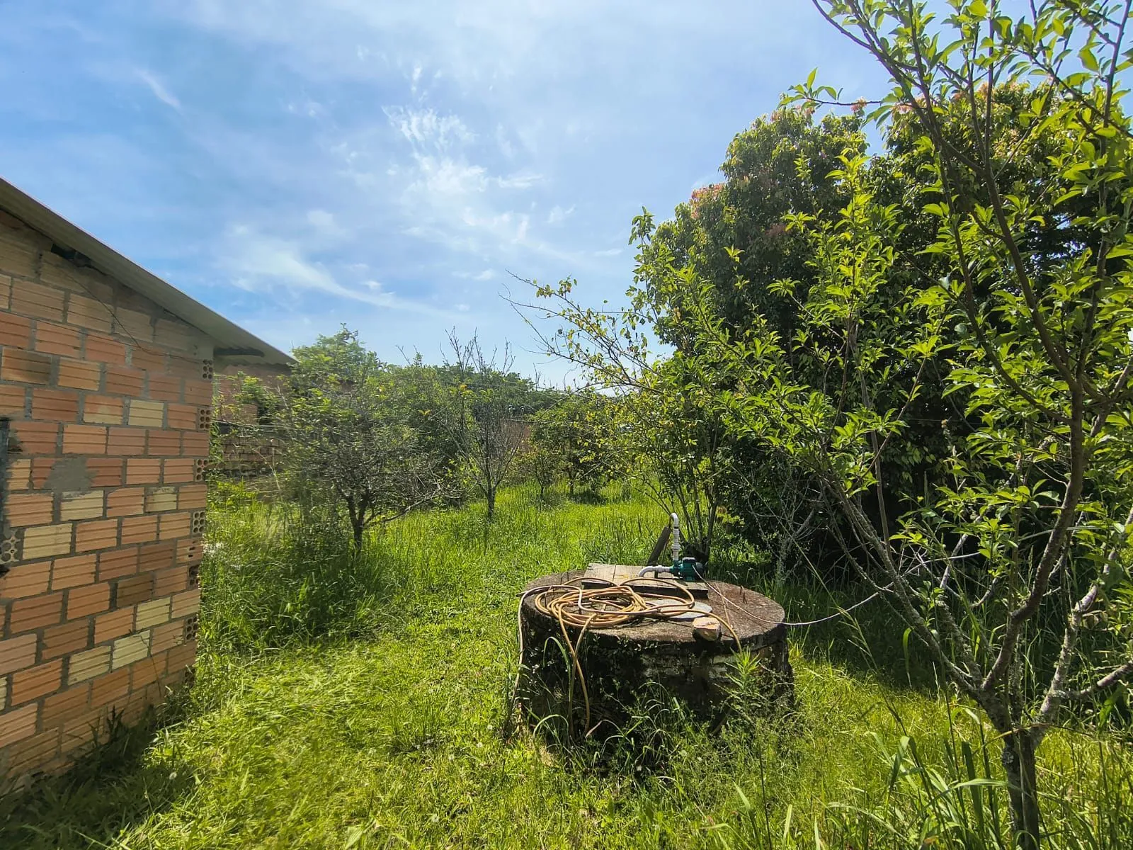 Imagem Terreno no Bairro Ponta Grossa
