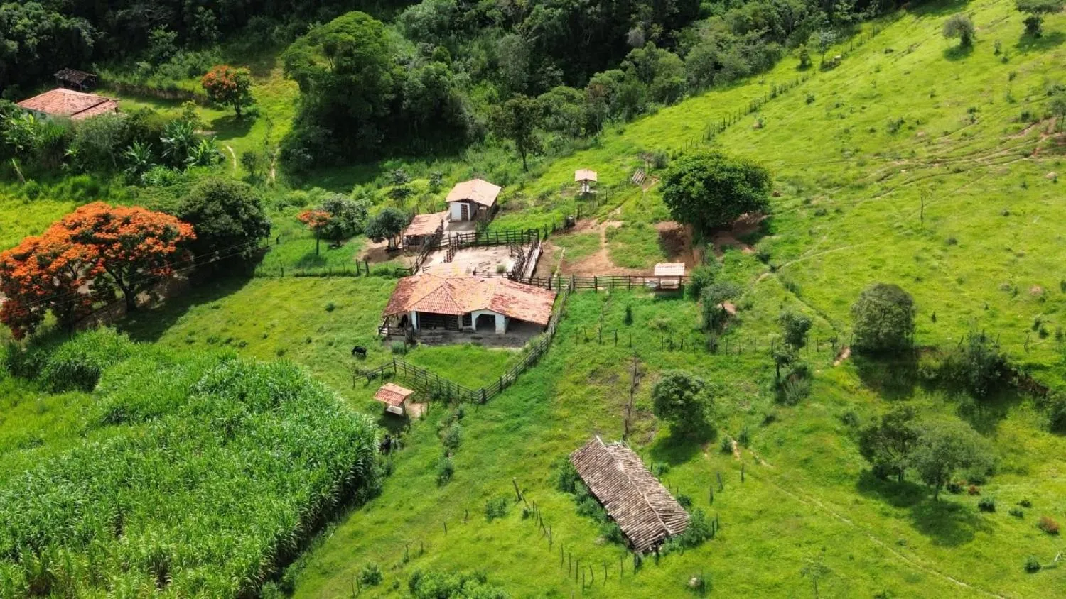 Imagem Fazendinha a venda em Belo Vale/MG 18 Hectares com Estrutura Completa e Abundância de Água