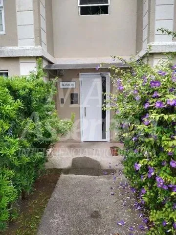 Imagem Apartamento semi-mobiliado em São Miguel, São Leopoldo - 3 dormitórios