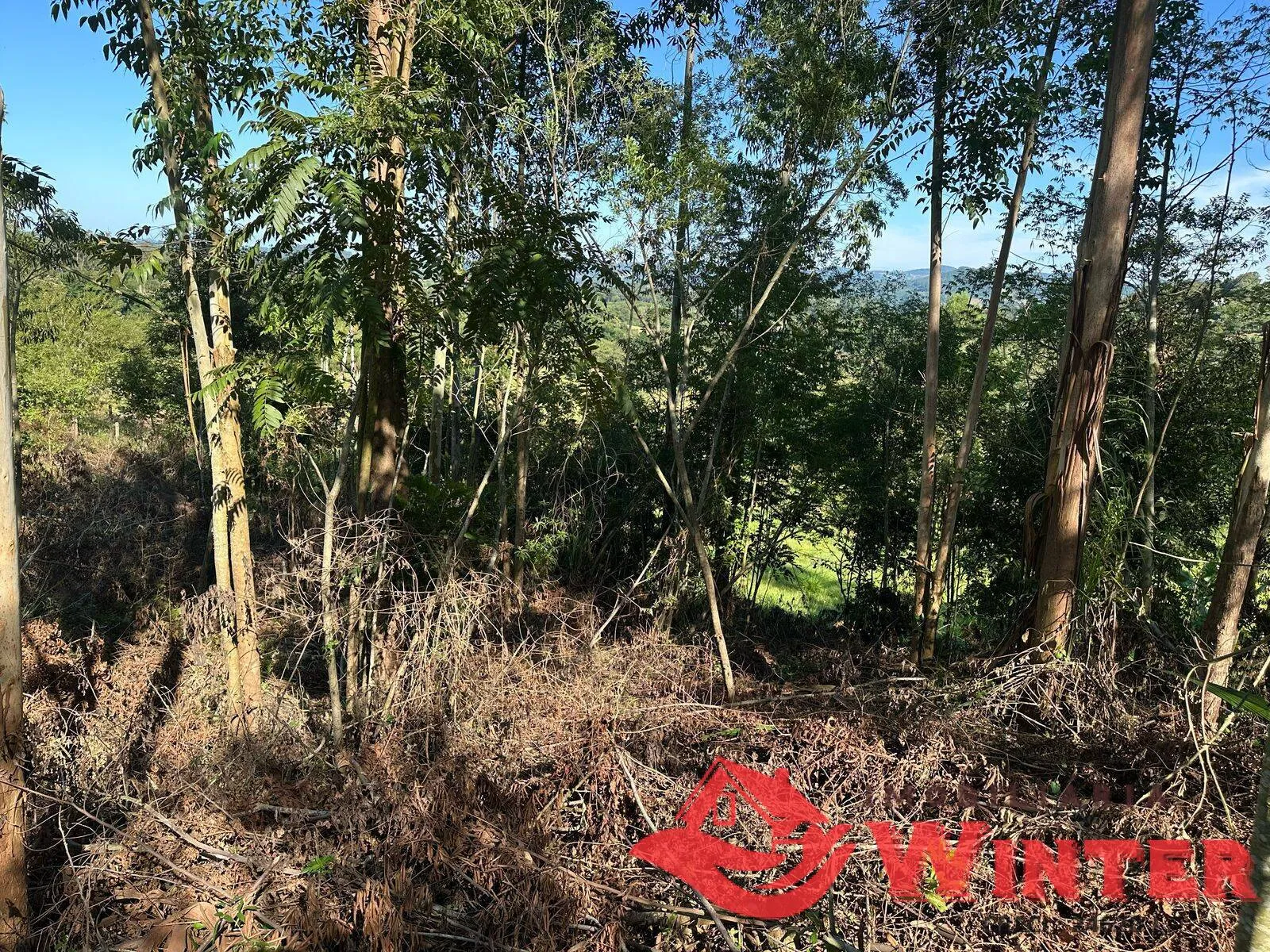 Imagem Área de terras com 3.000m² próprio para um chácara.