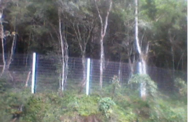 Imagem Terreno para Venda - 5100m², Ponta Grossa