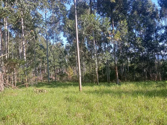 Imagem Excelente Área para Investimento - 29 Hectares, Pimenta, Viamão/RS