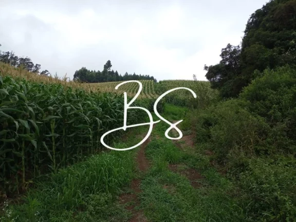 Imagem SITIO RURAL em SANTA MARIA DO HERVAL - RS, Alto Padre Eterno