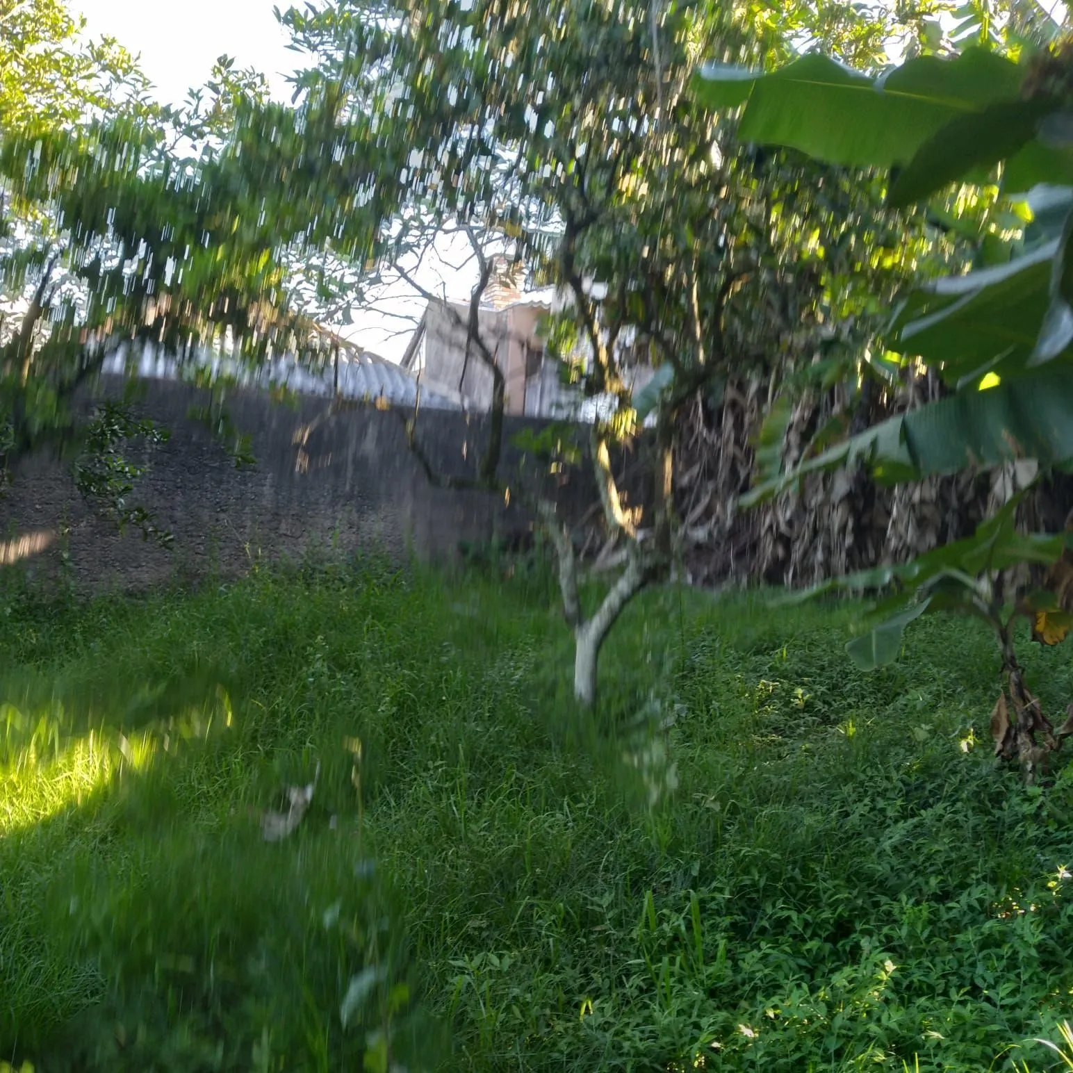 Imagem EXCELENTE TERRENO EM BELÉM VELHO