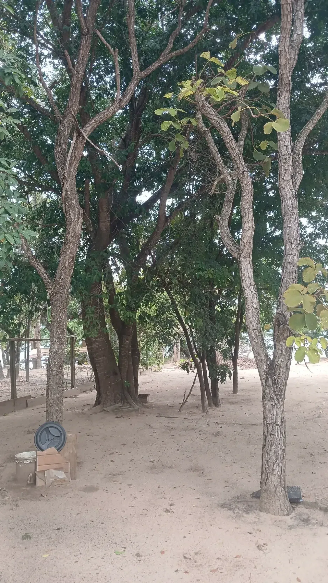 Imagem Chácara com 3 Quartos à Venda, 1650 metros em Ranchos do Marisias - Tres Lagoas, Tres Lagoas, Ms