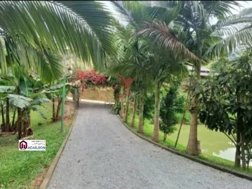 Imagem UMA LINDA CHACARA, A 1 KM DO ASFALTO EM SANTO AMARO DA IMPERATRIZ SC